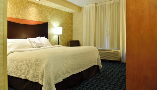 Suite, 1 King Bed with Sofa bed