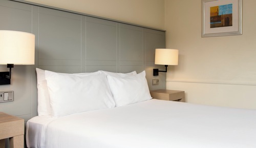 Standard Room, 1 Double Bed