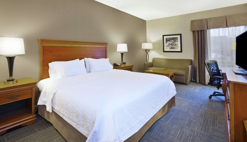 Classic Room, 1 King Bed with Sofa bed