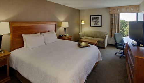 Room, 1 King Bed, Accessible, Non Smoking (Mobility, Bathtub)