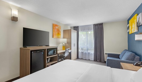 Standard Room, 1 King Bed, Non Smoking (No Pets Allowed)
