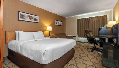 Comfort Care, Standard Room, 1 Queen Bed with Sofa bed, Non Smoking