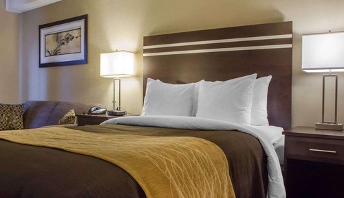 Comfort Care, Standard Room, 1 Queen Bed, Non Smoking