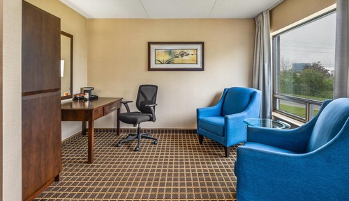 Suite, 1 King Bed with Sofa bed, Non Smoking