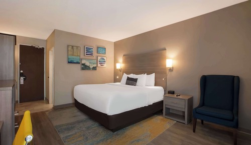 Standard Room, 1 King Bed, Non Smoking, Refrigerator & Microwave