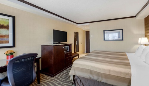 Standard Room, 1 King Bed, Non Smoking (Walk-in Shower)