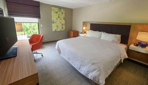 Room, 1 King Bed, Accessible, Non Smoking