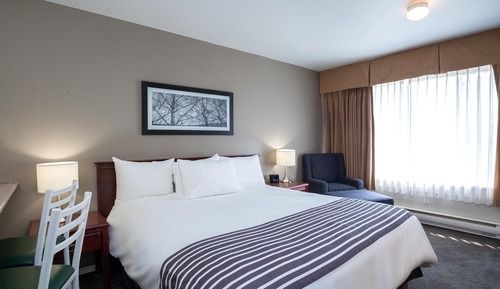 Studio, 1 Queen Bed, Kitchen