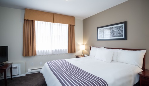 Standard Suite, 1 Queen Bed with Sofa bed, Kitchen