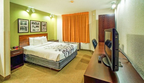 Room, 1 King Bed, Accessible, Non Smoking