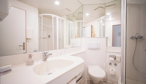 Standard Double Room (Waldhaus)