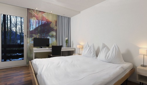 Standard Twin Room (Waldhaus)