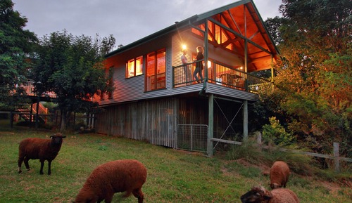 Treehouse Cottage
