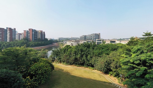 Room, 1 King Bed, Park View
