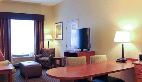 Suite, 1 King Bed with Sofa bed, Accessible, Non Smoking (Efficiency)