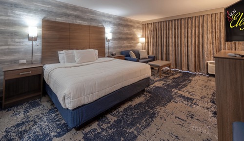 Premium Room, 1 King Bed, Accessible