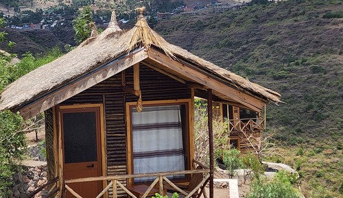 Panoramic Tree House