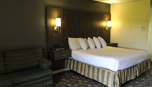 Studio Suite, 1 King Bed with Sofa bed, Accessible, Non Smoking