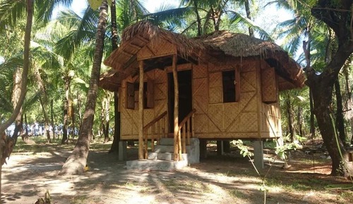 Economy Shared Dormitory