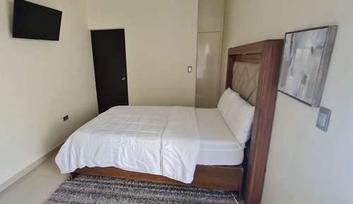 Basic Studio Suite