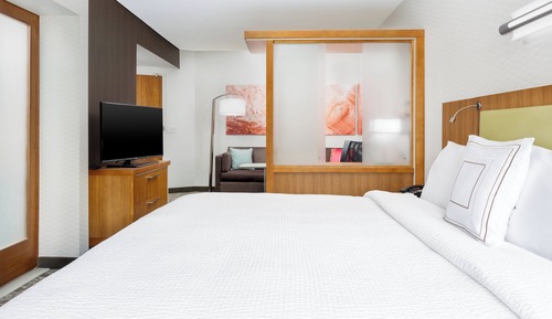 Studio, 1 King Bed with Sofa bed