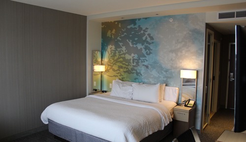 Room, 1 King Bed with Sofa bed (Mobility/Hearing Access, Roll-In Shwr)