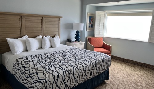 Premium Room, 1 King Bed, Non Smoking