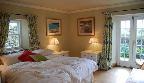 Deluxe Double or Twin Room, Patio, Ground Floor