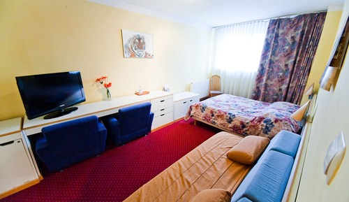 Deluxe Apartment (3-osobowy)