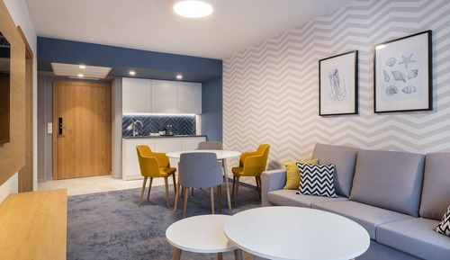 Premium Suite, 1 King Bed, Non Smoking, Kitchenette (Small Room;with Sofabed)