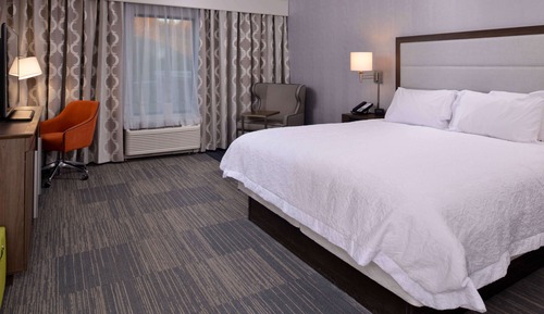 Room, 1 King Bed, Accessible, Bathtub (Hearing & Mobility)