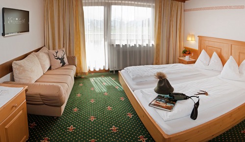 Standard Double or Twin Room, Mountain View