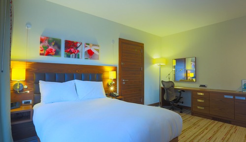 Room, 1 Queen Bed, Accessible