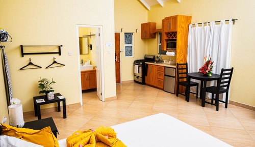 Luxury Studio, Kitchen