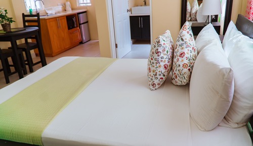 Junior Studio, 1 Queen Bed, Garden View