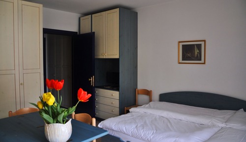 Superior Studio, 1 Bedroom, Kitchenette, Mountain View