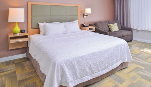 Room, 1 King Bed with Sofa bed, Accessible, Bathtub