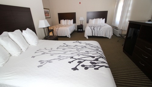 Family Suite, Multiple Beds, Non Smoking, Refrigerator & Microwave