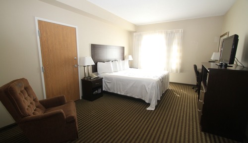 Room, 1 King Bed, Non Smoking, Refrigerator & Microwave