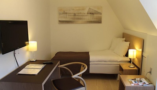 Business Single Room, 1 Twin Bed, Non Smoking