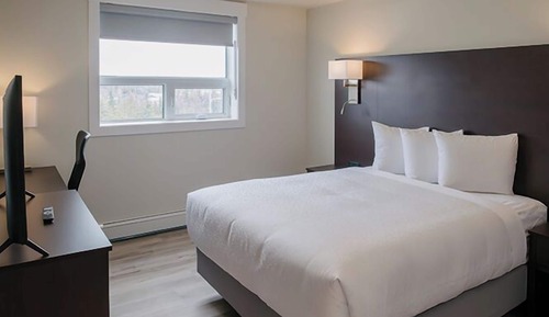 Executive Apartment, 1 Queen Bed with Sofa bed