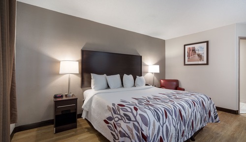 Deluxe Room, 1 King Bed, Accessible, Non Smoking (Roll-In Shower)