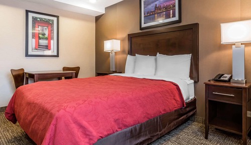 Standard Room, 1 Queen Bed, Non Smoking