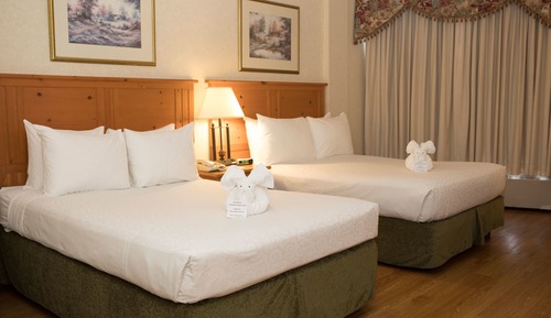 Standard Room, 2 Double Beds