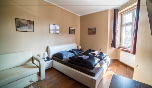 Apartment (Downtown)