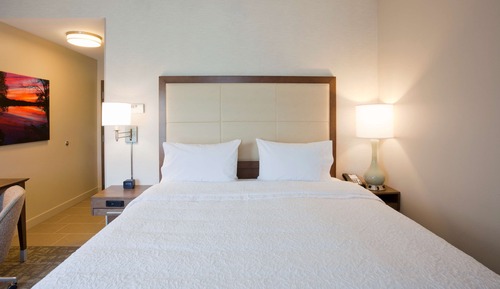 Room, 1 King Bed, Non Smoking, Refrigerator & Microwave
