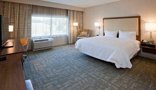 Room, 1 King Bed, Accessible, Non Smoking (Rollin Shower)