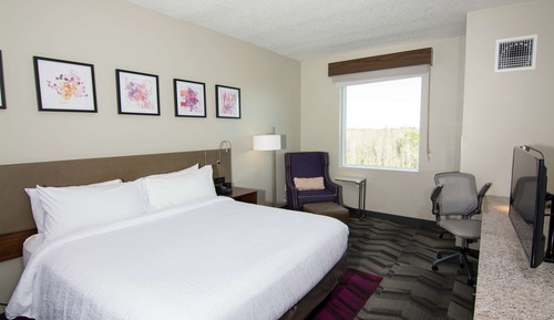 Room, 1 King Bed, Accessible, Non Smoking (hearing acc)