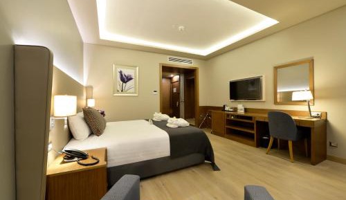 Executive Room - Smoking