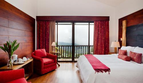 Lodge Room Volcano View Tanager